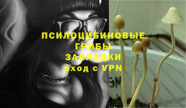 молекула духа Беломорск