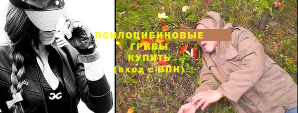 Альфа ПВП Белокуриха