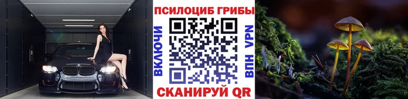Галлюциногенные грибы Magic Shrooms купить закладку Ялуторовск